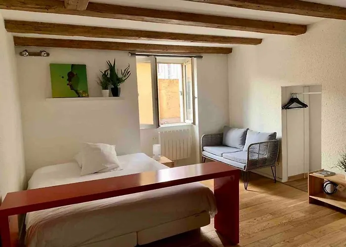 Appartement Calme - Pentes De La Croix Rousse Lyon